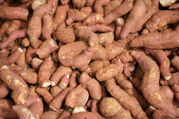 Fresh Sweet potatoes piled for market