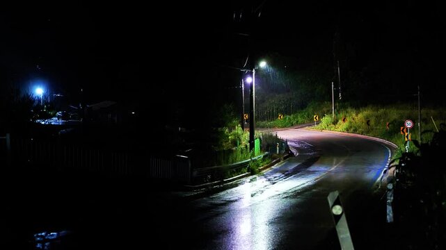 한국의 비 오는 밤 거리, 비 내리는 공원, 빗소리 ASMR, 가로등 사이 빗줄기와 빗소리, 개구리 울음소리