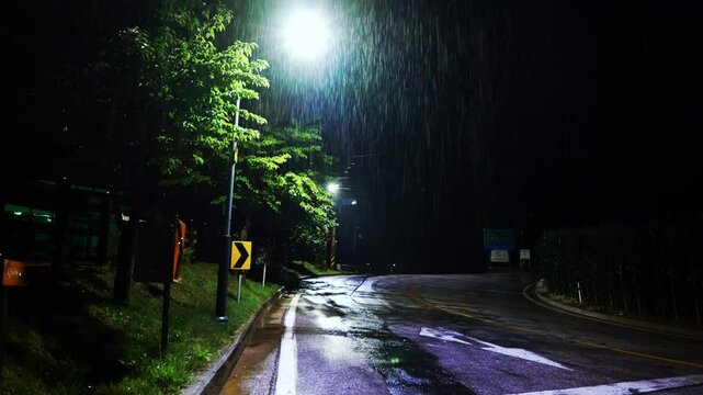 한국의 비 오는 밤 거리, 비 내리는 공원, 빗소리 ASMR, 가로등 사이 빗줄기와 빗소리, 개구리 울음소리