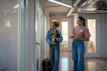 Female cat owner visits pet hotel to check in pet, with staff explaining conditions, showing rooms. Animal reception, boarding orientation, cat care, hotel service and animal comfort without owner