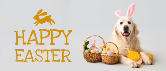 Cute Labrador dog in bunny ears with Easter eggs lying on light background