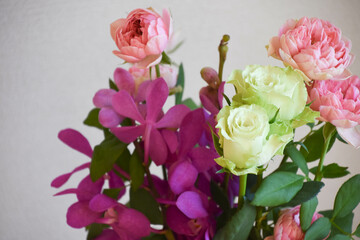 薔薇とアランダ