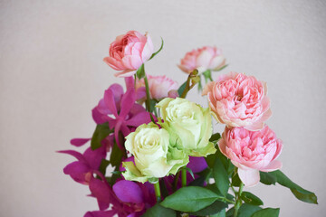 薔薇とアランダ