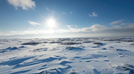 Winter Sun Over Snow-Covered Landscape