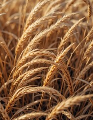 golden wheat stalks swaying in the breeze. Perfect for harvest, agriculture, and nature-themed projects