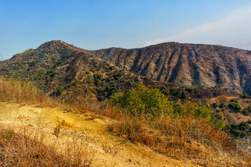 Hillside Landscape Post-Wildfire in Runyon Canyon, Los Angeles