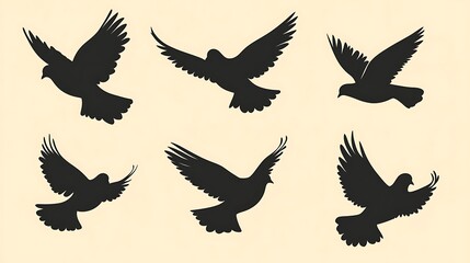 Obraz premium Silhouettes of Flying Pigeons (1)