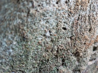 stone wall