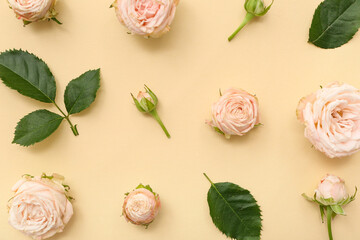 Beautiful pink roses with leaves on yellow background