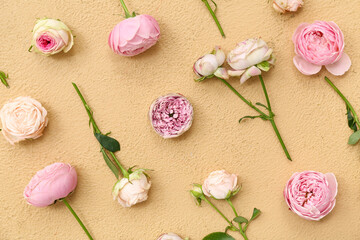 Beautiful pink roses on beige background