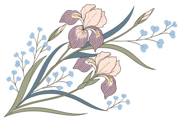  Watercolor iris bouquet, delicate botanical illustration, soft pastel colors, purple and peach irises, blue flower accents, green leaves and stems, detailed petals, elegant floral arrangement, white 