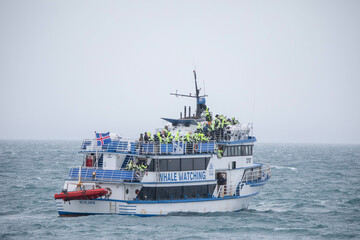 Whale watching boat tour in winter in Iceland