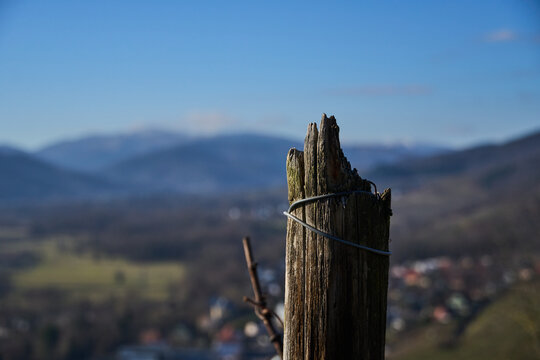 Vosges