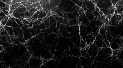 Abstract network of white lines against a dark background with a web pattern