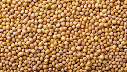 Fototapeta premium soy beans top view, AI generated