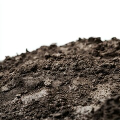 Dark soil texture, close-up, white background, gardening