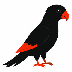 Black  Lorikeet vector on white background.