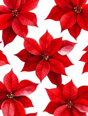 Obraz premium Vibrant Red Poinsettias on a Bright White Background - A stunning arrangement of rich red poinsettias, symbolizing holiday cheer, warmth, tradition, beauty, and nature