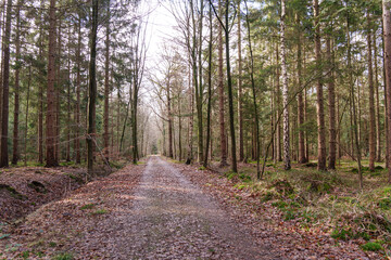 Fürstenau im Onsabrücker Land