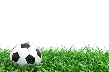 Fototapeta premium Soccer ball on green grass - a vibrant sports image