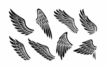 Set of vintage wings illustration, wings collection