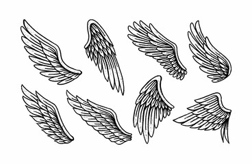 Set of vintage wings illustration, wings collection