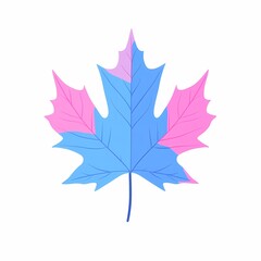 Blue and pink maple leaf illustration on white background.