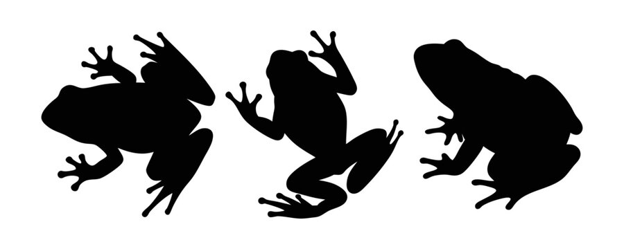 Frog vector silhouette illustration isolated on a white background