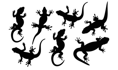 Naklejka premium Lizard black and white vector silhouette illustration