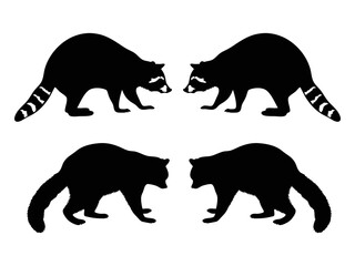 Raccoon black and white silhouette isolated on white background © Flyillustrations