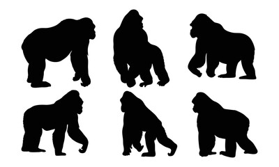 Set of gorilla silhouette illustration © Flyillustrations
