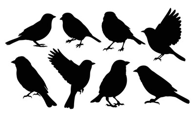 Set of sparrow bird silhouette isolated on a white background