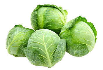 Obraz premium Fresh green cabbage heads, isolated on transparent cutout background