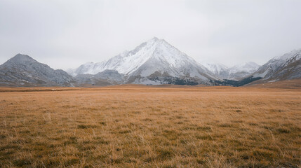 Fototapeta premium Snowy mountain peak rises above a vast golden grass field under an overcast autumn sky.