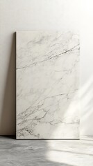 Obraz premium A minimalist marble slab against a neutral wall, showcasing elegant design and texture.
