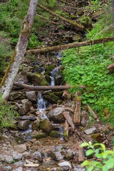 Fototapeta premium Beautiful mountain waterfall in the forest. Mountain landscape with a waterfall.
