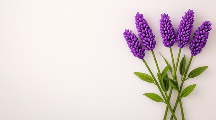 Fototapeta premium Beaded Purple Lavender Flowers on White Textured Background