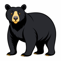 Bear vector on white background.