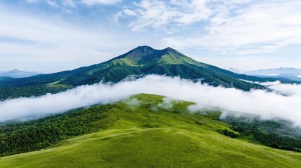 Fototapeta premium Green mountain peak rises above a thick layer of white clouds under a blue sky.