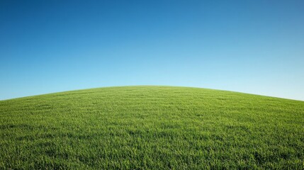 Fototapeta premium A vast landscape of a meadow bathed in bright sunlight, with clear blue skies and vibrant green grass, evoking the freshness and warmth of a sunny day.