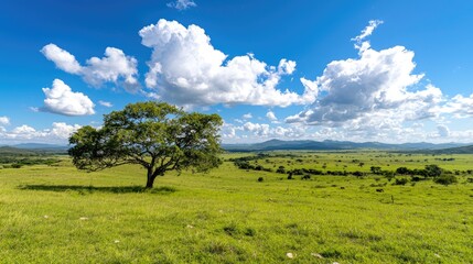 Lone tree savanna landscape, sunny day, travel poster