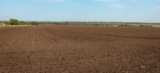 Fotobehang panoramic view of a agricultural plowed field background,  rural landscape © Leka