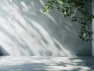 Contemporary Minimalist Patio