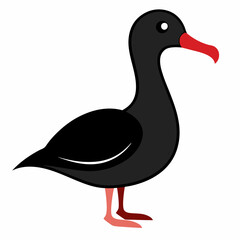  A albatross vector on white background.