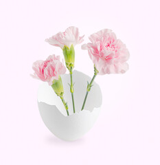 Festive elegant carnation flowers bouquet with green stem in vase of half of broken white avian hen eggshell isolated on pink background usd as gift for celebration of easter holiday or decoration