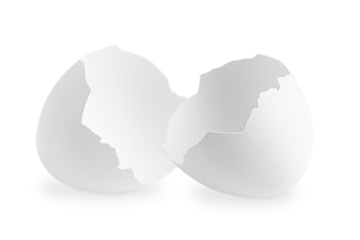 Two halves of broken empty natural eggshell of chicken or hen isolated on white background is outer organic covering of avian egg full of calcium used for breakfast for protein or in baking culinary