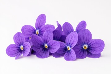 A collection of purple flowers arranged on a white surface, perfect for use in editorial or commercial projects