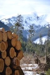 stack of firewood with winter mountains in background