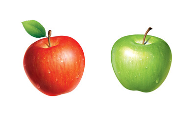 green red Apple illustration isolated on white background