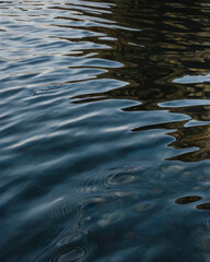 Sunlight scatters across the undulating blue sea waves.